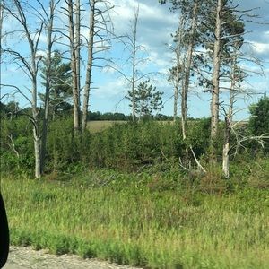 Meet your Posher, Alison